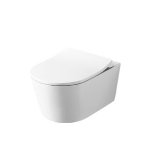 RP Wall hung toilet