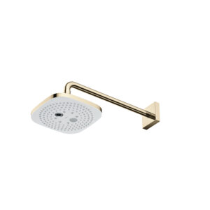 2 Mode Fixed shower Head (Wall Type)